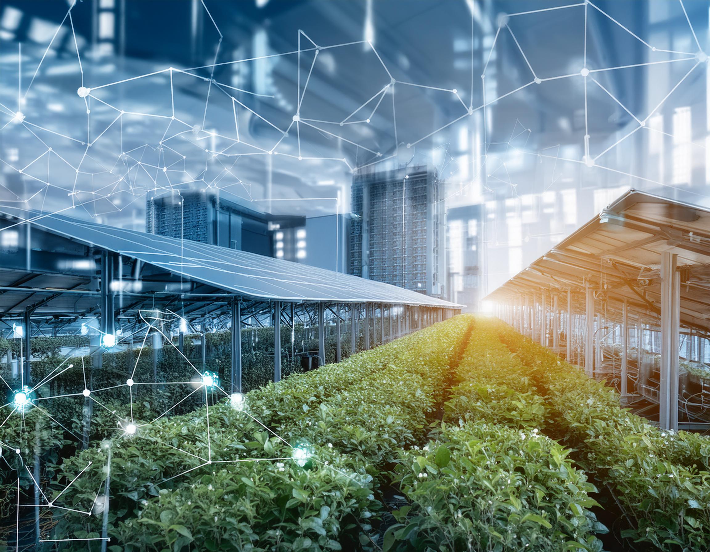 The Power of Data: Transforming Businesses in the Modern Age